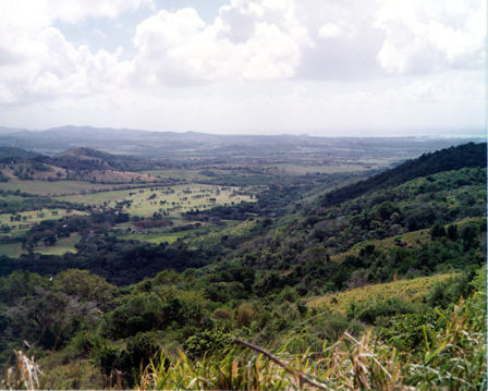overlook