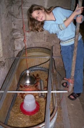 chicken coop