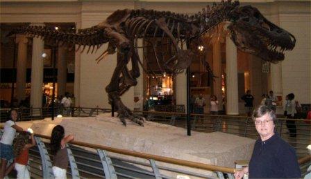 T Rex landscape